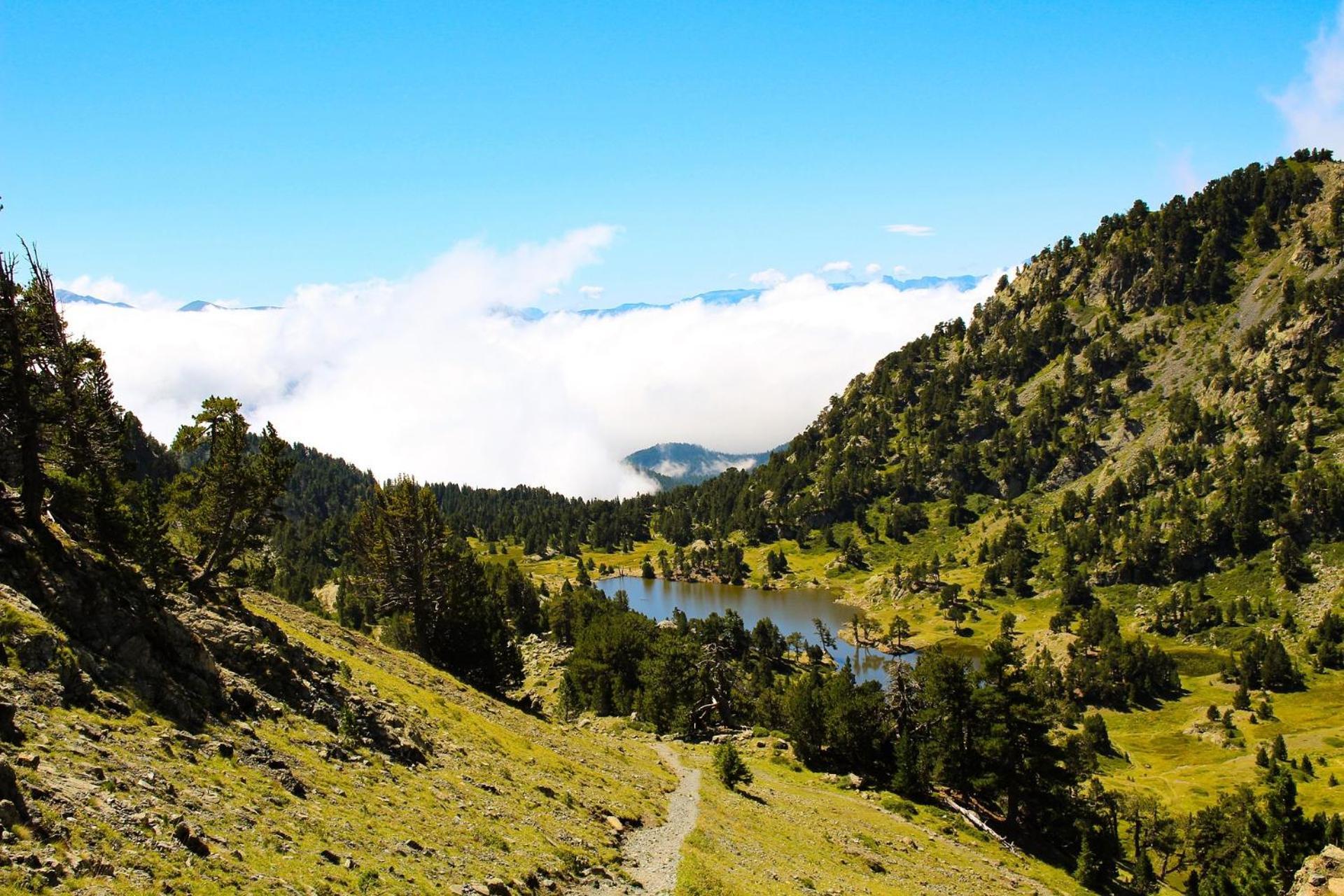 Le T2 Douillet D'Uriage - Residence Le Louvre - Cure Thermale Uriage- Proche Chamrousse - Jusqu'A 3 Personnes - Region Agreable En Toute Saison Vaulnaveys-le-Haut Luaran gambar
